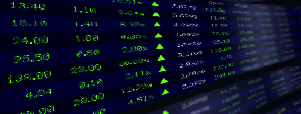 Shareholders_CSR